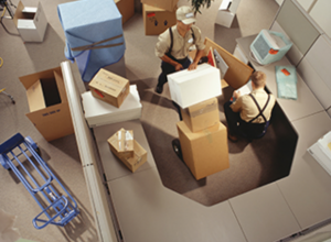 business removalists